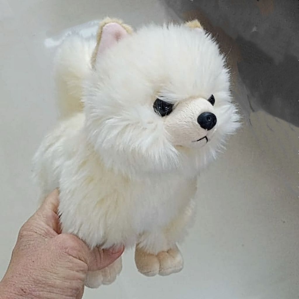 Boneka Anjing Pom Samoyed