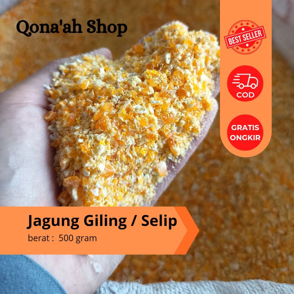 Jagung giling pakan ayam 500 gr / jagung giling pakan burung merpati / jagung giling pakan ternak un