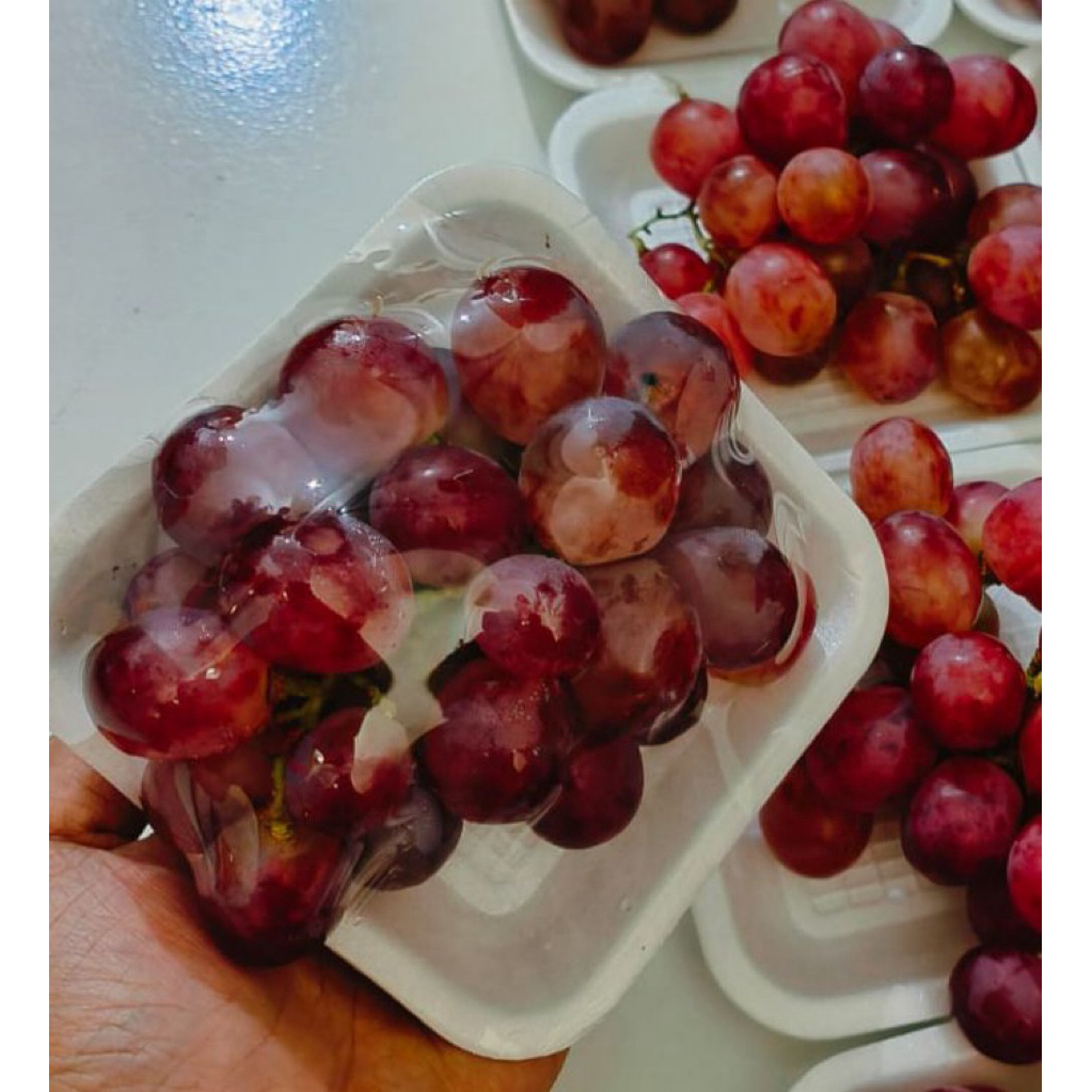 

Paket Anggur Merah Mini