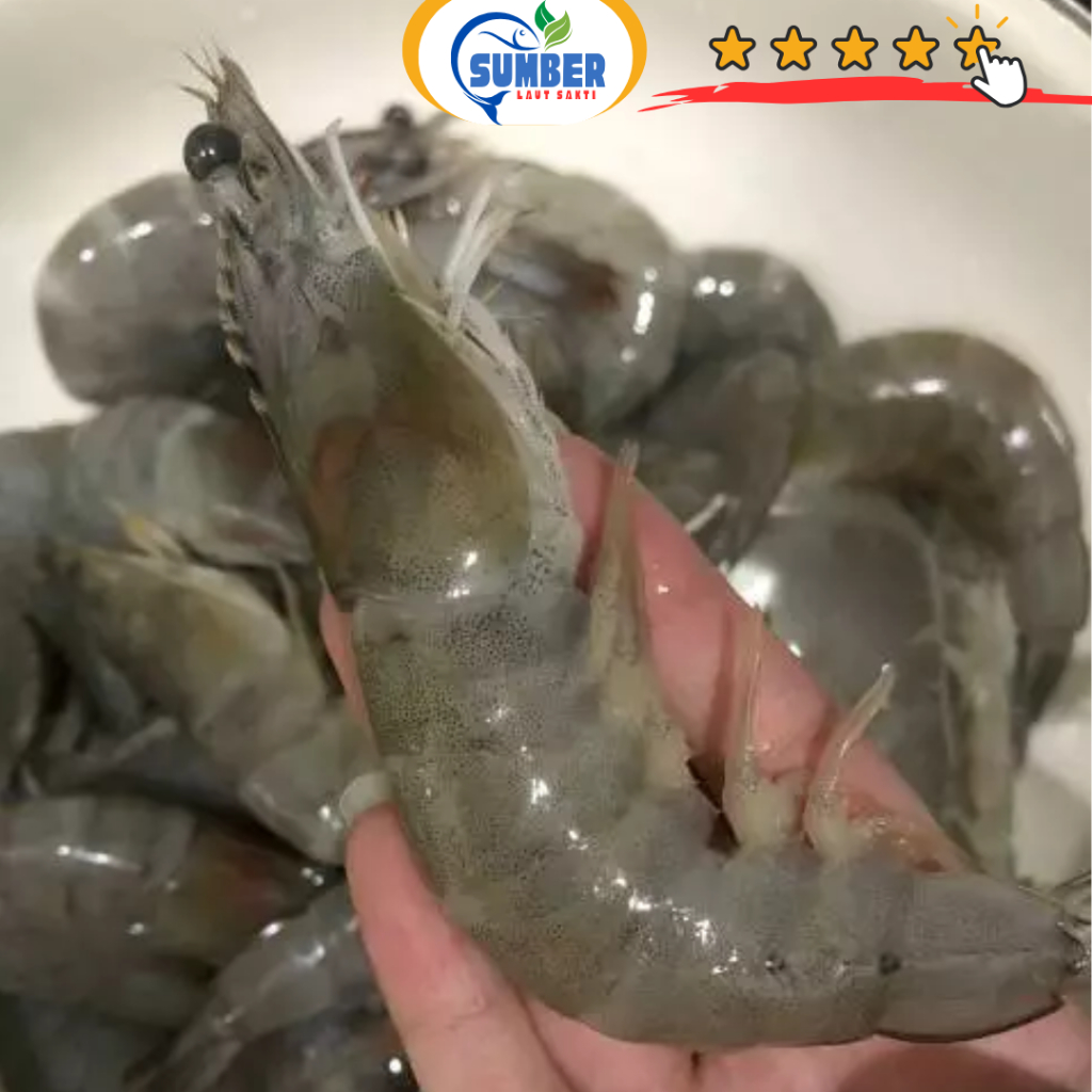 UDANG VANAME BESAR JUMBO SEGAR 1 KG