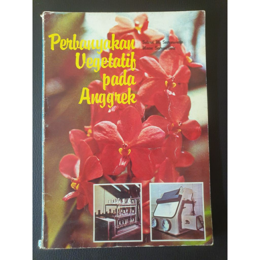 

PERBANYAKAN VEGETATIF PADA ANGGREK