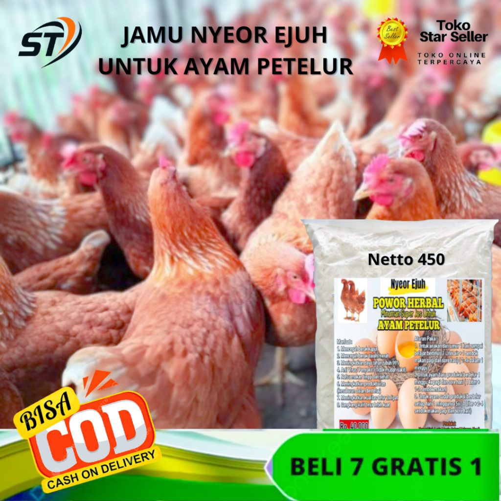 Vitamin Ayam Petelur Siap Bertelur Jamu Nyeor Ejuh Obat Ayam Petelur Suplemen Ayam Petelur Murah