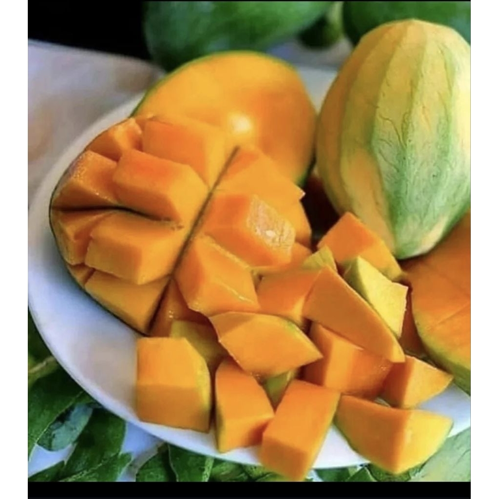 

mangga harum manis lokal enak manis