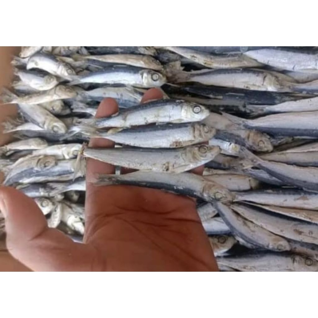 

ikan layang rebus asin 250g