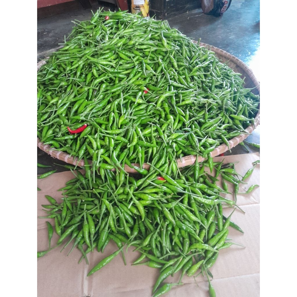 

cabe rawit /cabai ijo caplak segar 3 kg