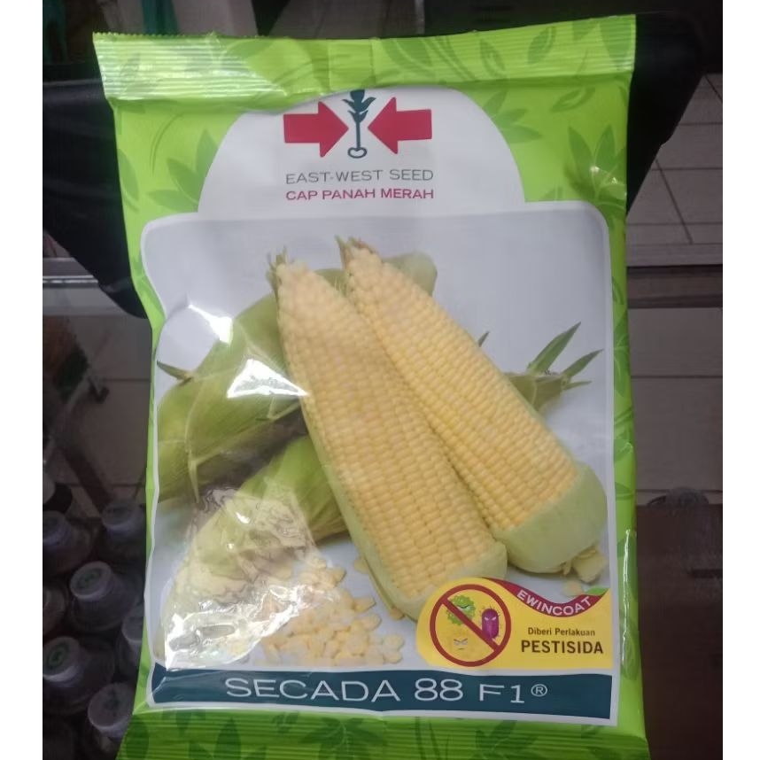 BENIH BIBIT JAGUNG MANIS SECADA 88 F1 1750 BUTIR KEMASAN PABRIK PANAH MERAH