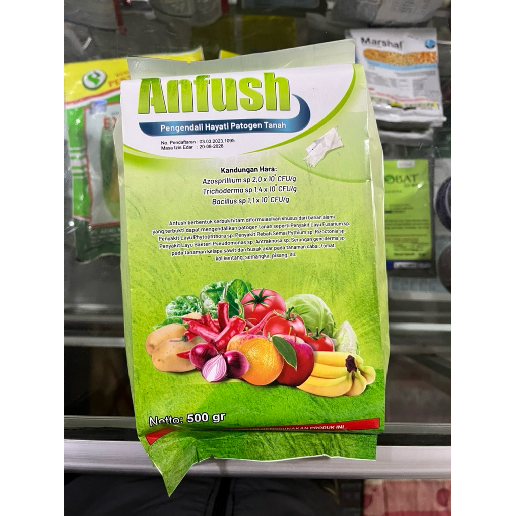 

Anfush 500 gram