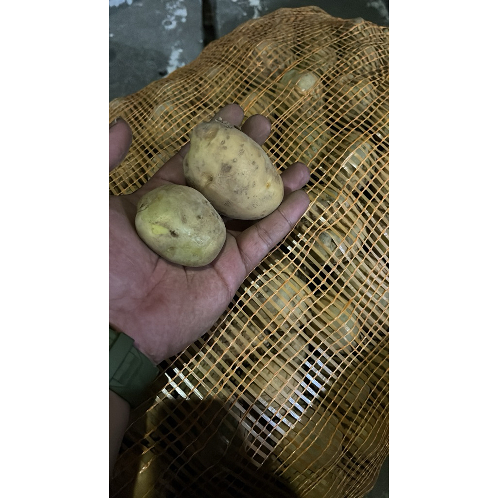 

kentang sedang 1 kg