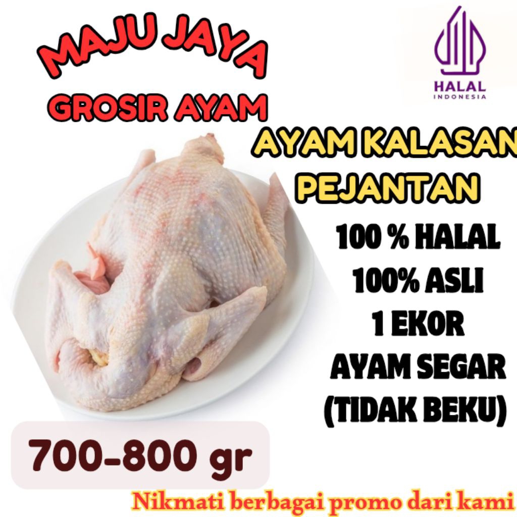 

AYAM PEJANTAN / KALASAN 0.7-0.8Kg (700-800gr) UTUH 1 EKOR SEGAR / BERSIH / AYAM ASLI / AYAM NEGRI / AYAM BERKUALITAS /FRESH BERSIH / TIDAK BEKU / HALAL / AMAN DIKONSUMSI