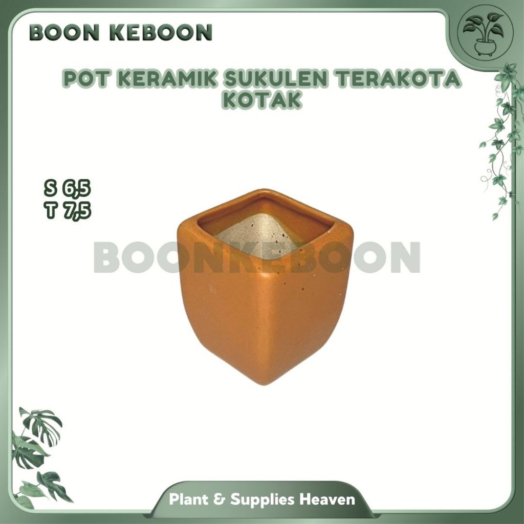 Pot Keramik Sukulen Terakota Kotak