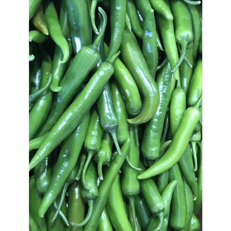 

cabe hijau besar fresh 1kg