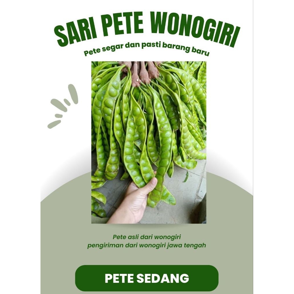 

Pete Sedang isi 10 Papan kualitas terbaik