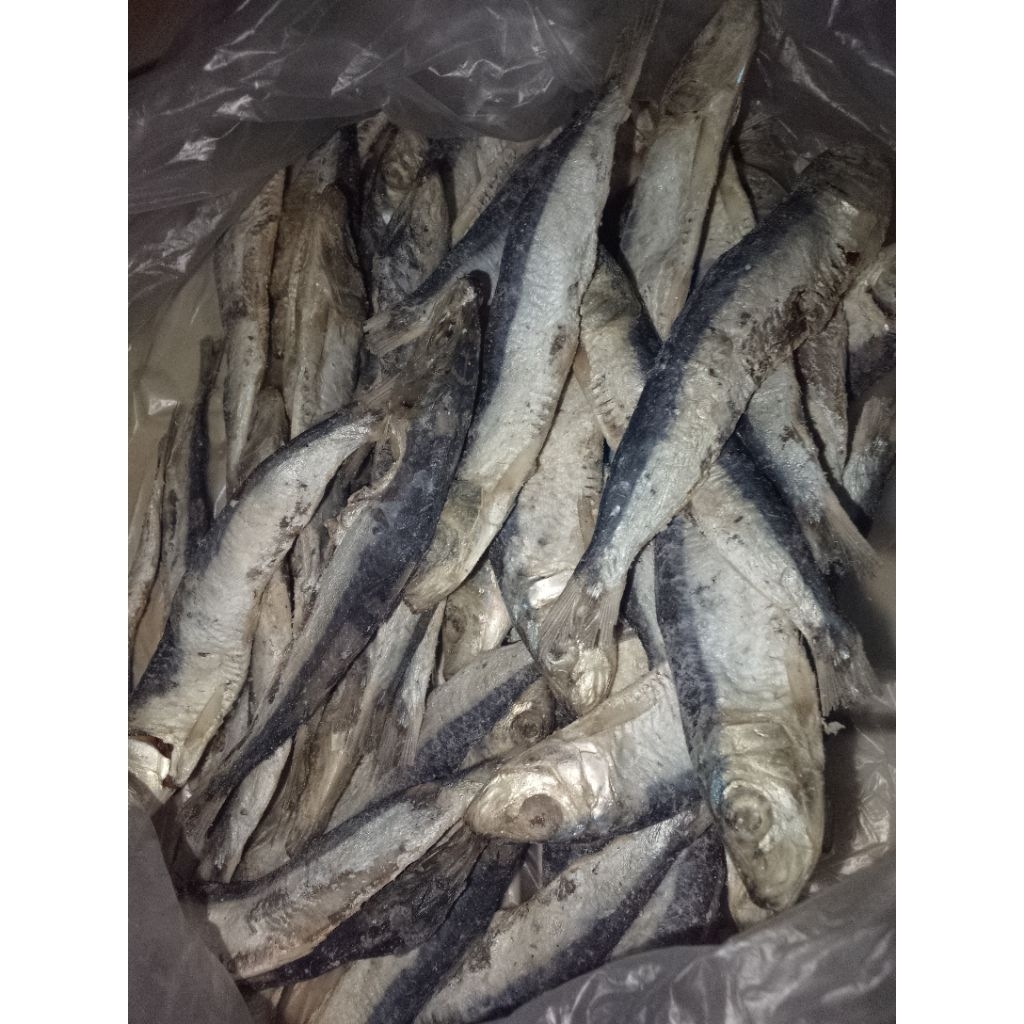 

ikan asin japuh kering enakk dann murahh 1kg