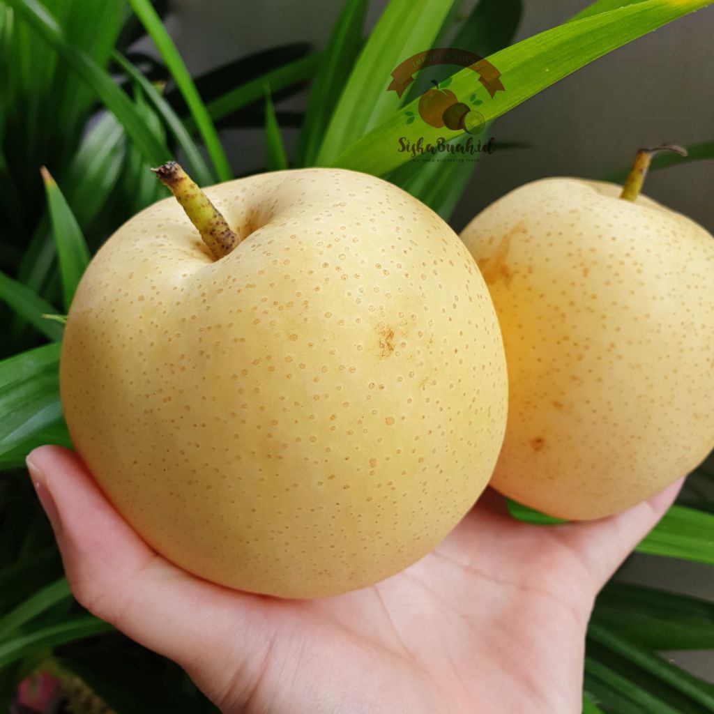 

PEAR CENTURY / PEAR ROYAL CROWN - IMPORT