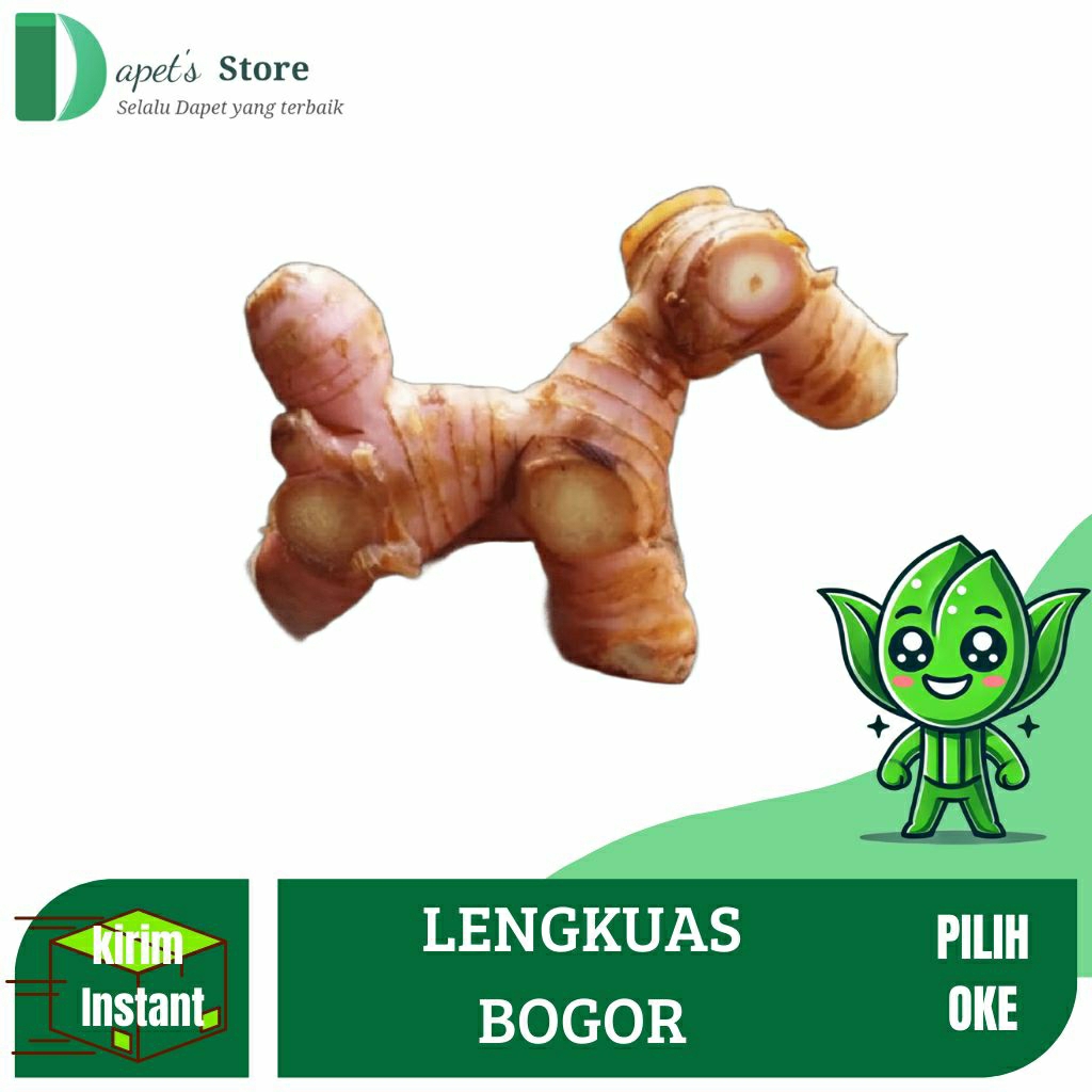 

Lengkuas Segar Laos Segar Lengkuas Fresh Bagus Bumbu - Dapet'S Store