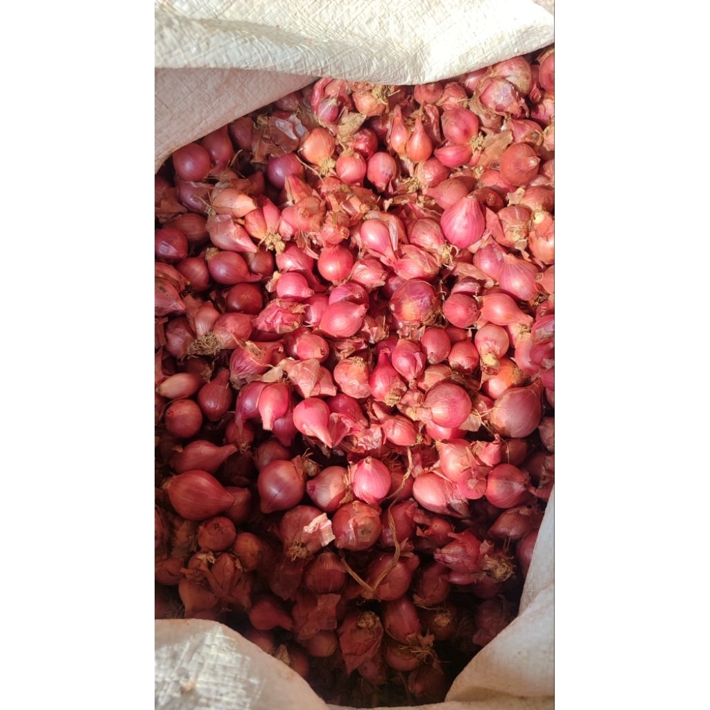 

Bawang merah ares kecil mini 1 kg