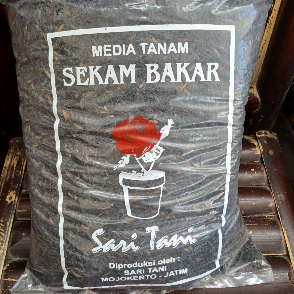 Sekam Bakar Organik Siap Pakai