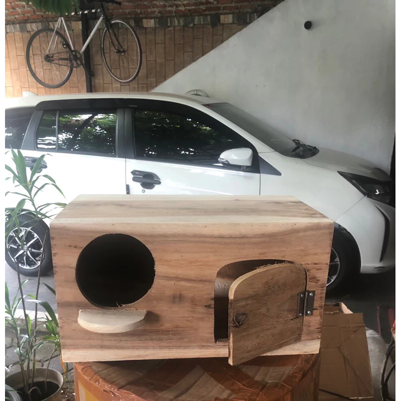 Glodok Parkit Lovebird Bahan Kayu Jawa Ternak Burung  Falk/Parkit Australia