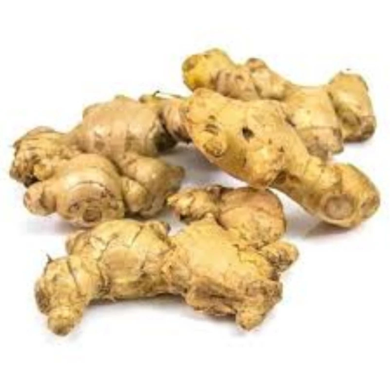 

Jahe Fresh Kualitas Super Bersih Siap Kirim 500 Gram