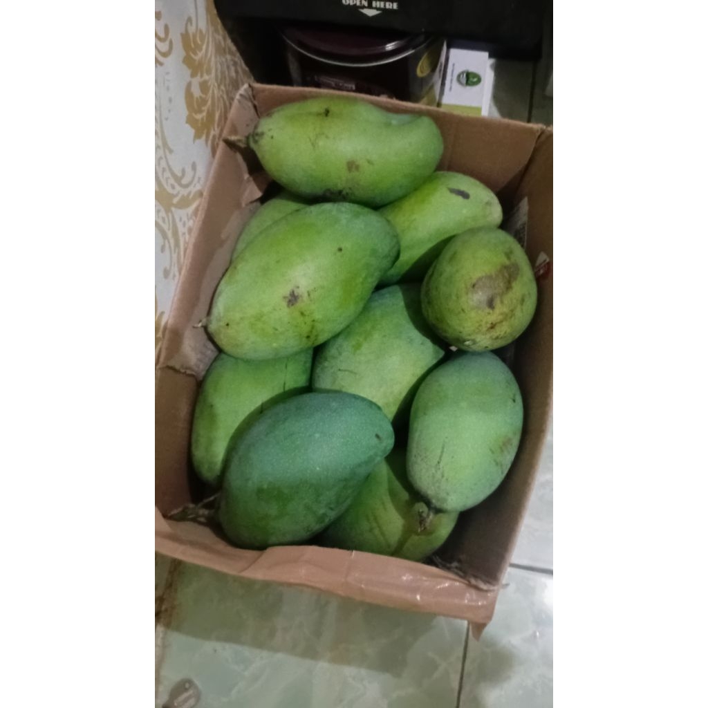 Mangga Manalagi Super