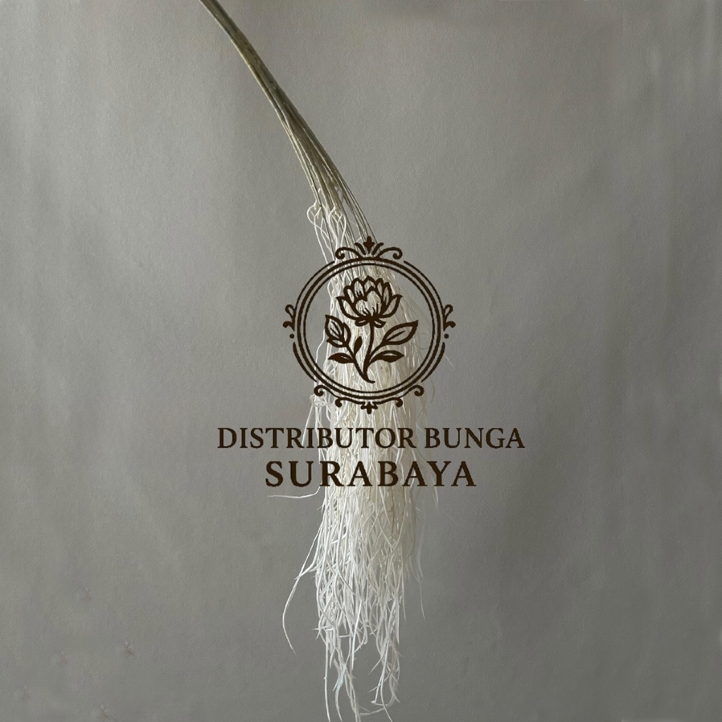 WILLOW GRASS CABANG 3 DAUN WILLOW PANJANG MENJUNTAI TINGGI 100-120CM MOSS WILD GRASS RUSTIC DECORATI