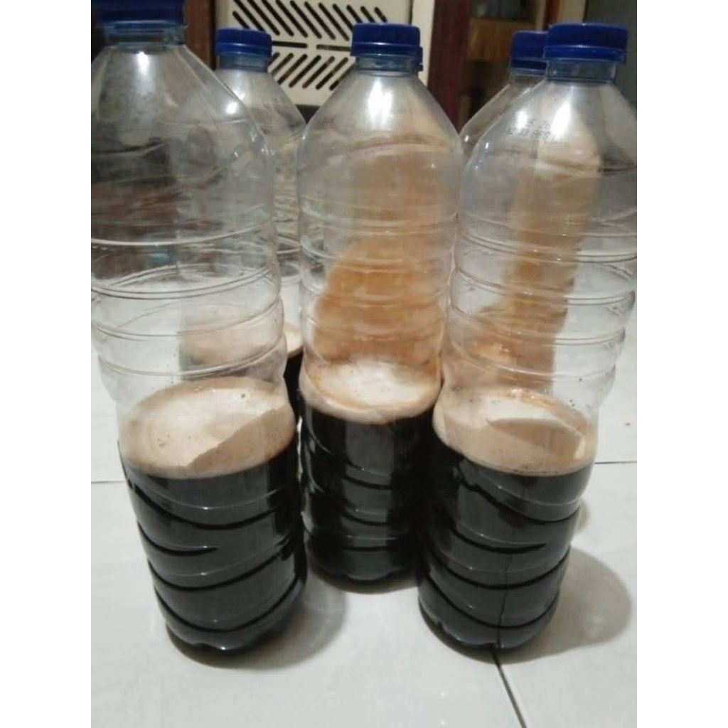 

Madu murni 100% asli dari hutan