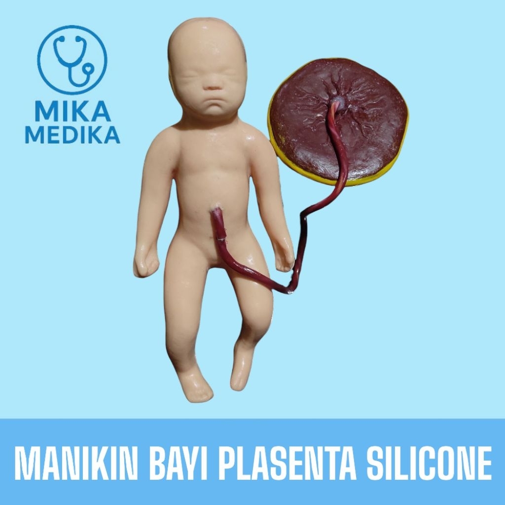 Phantom Manikin Bayi Plasenta Silicone / Phantom Manekin Bayi Plasenta Silicone / Alat Peraga Bayi P
