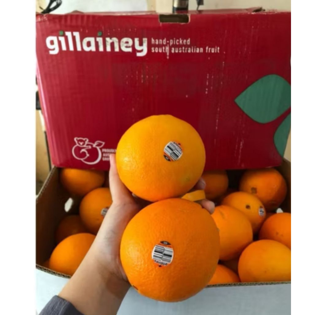 

buah jeruk sunkies 1kg bppn