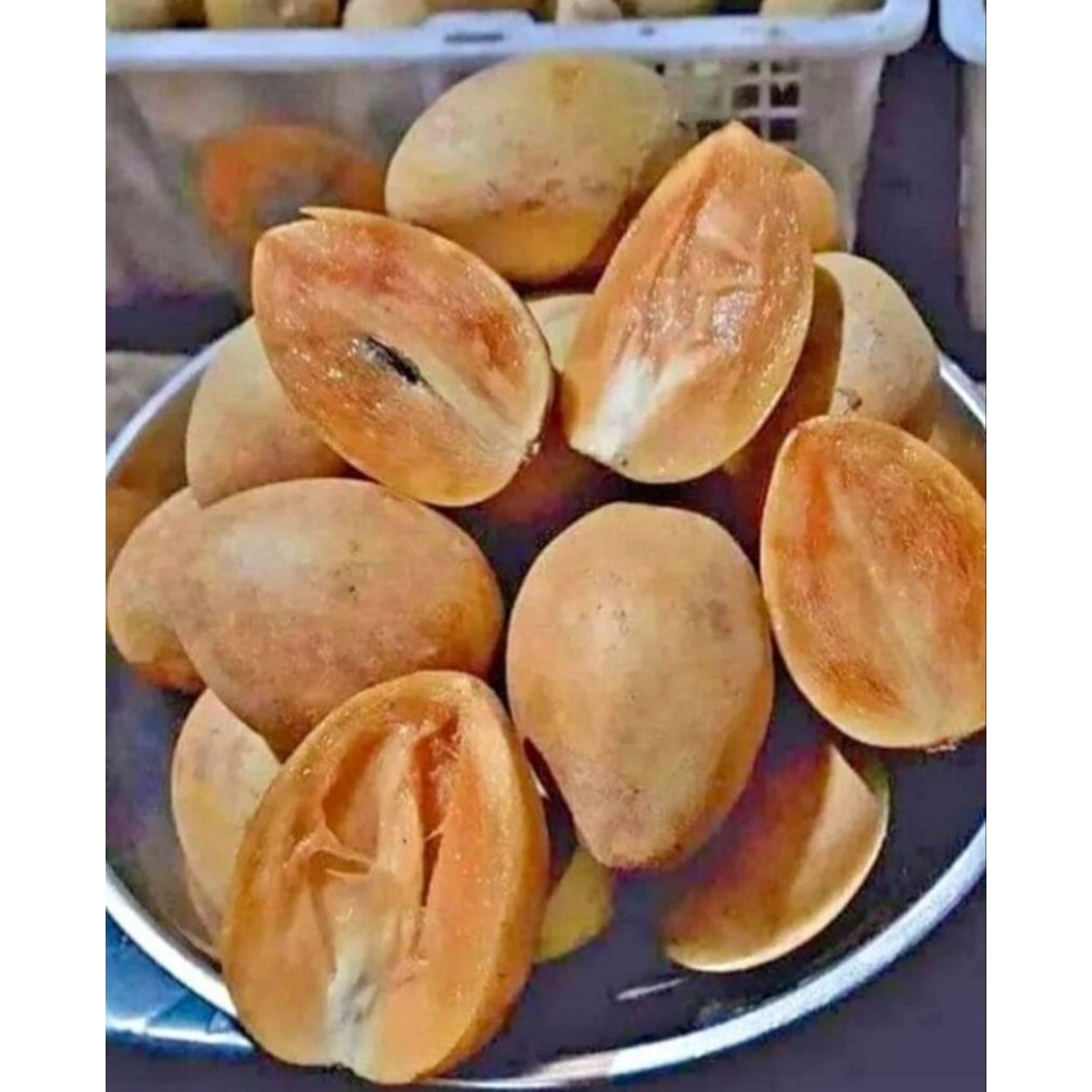 

Sawo Madu Viral Manis 2 kg