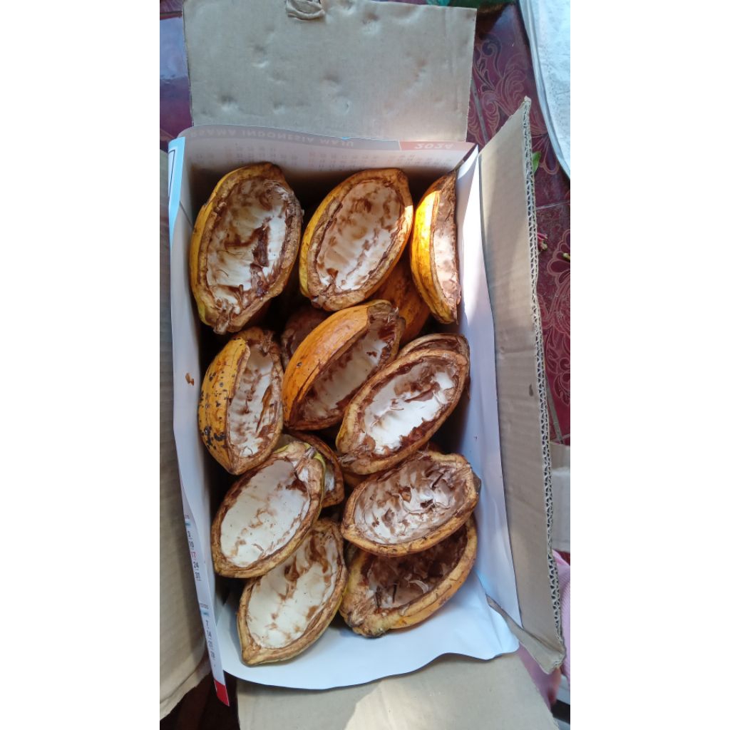 

KULIT KAKAO/COKLAT KERING 100gram