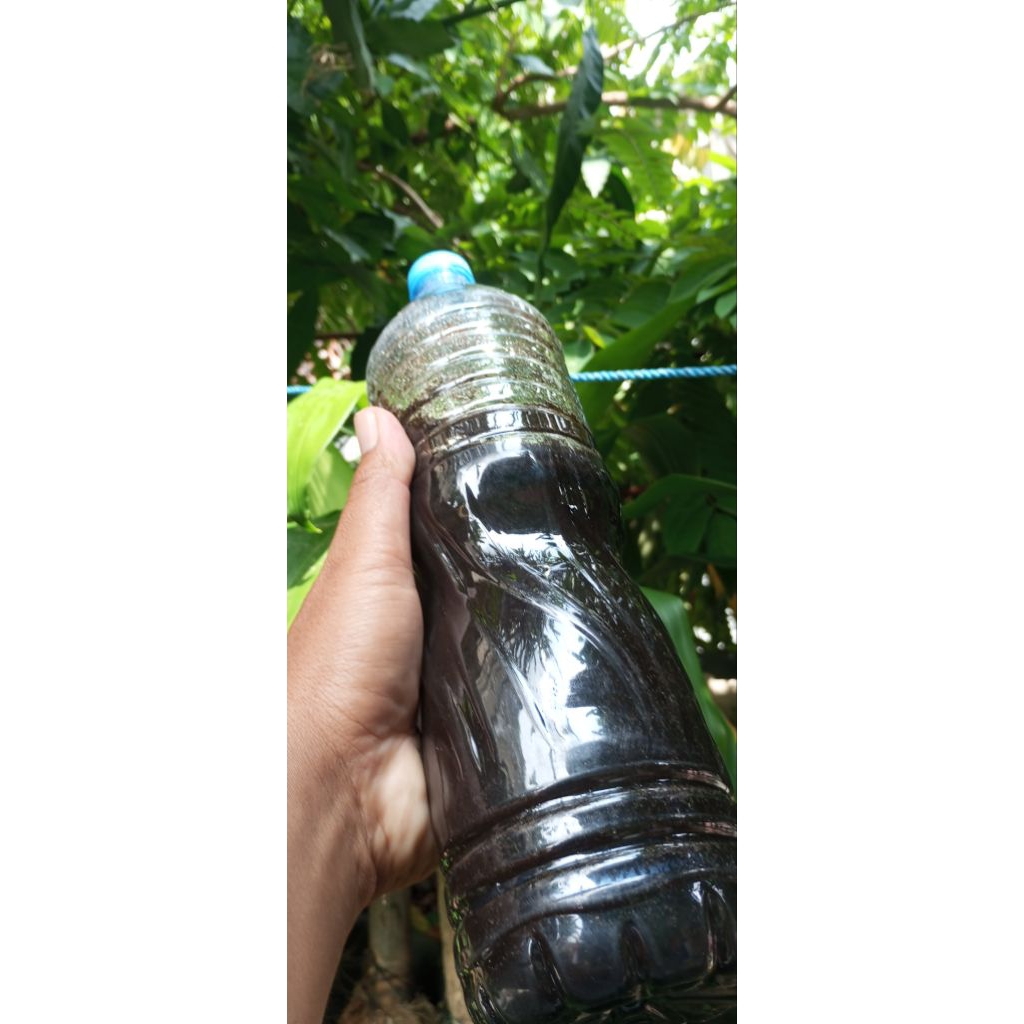 pupuk organik cair guano 1 liter