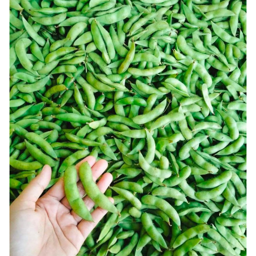 

edamame netto 500gr