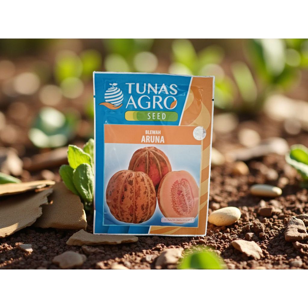 Benih blewah aruna tunas agro