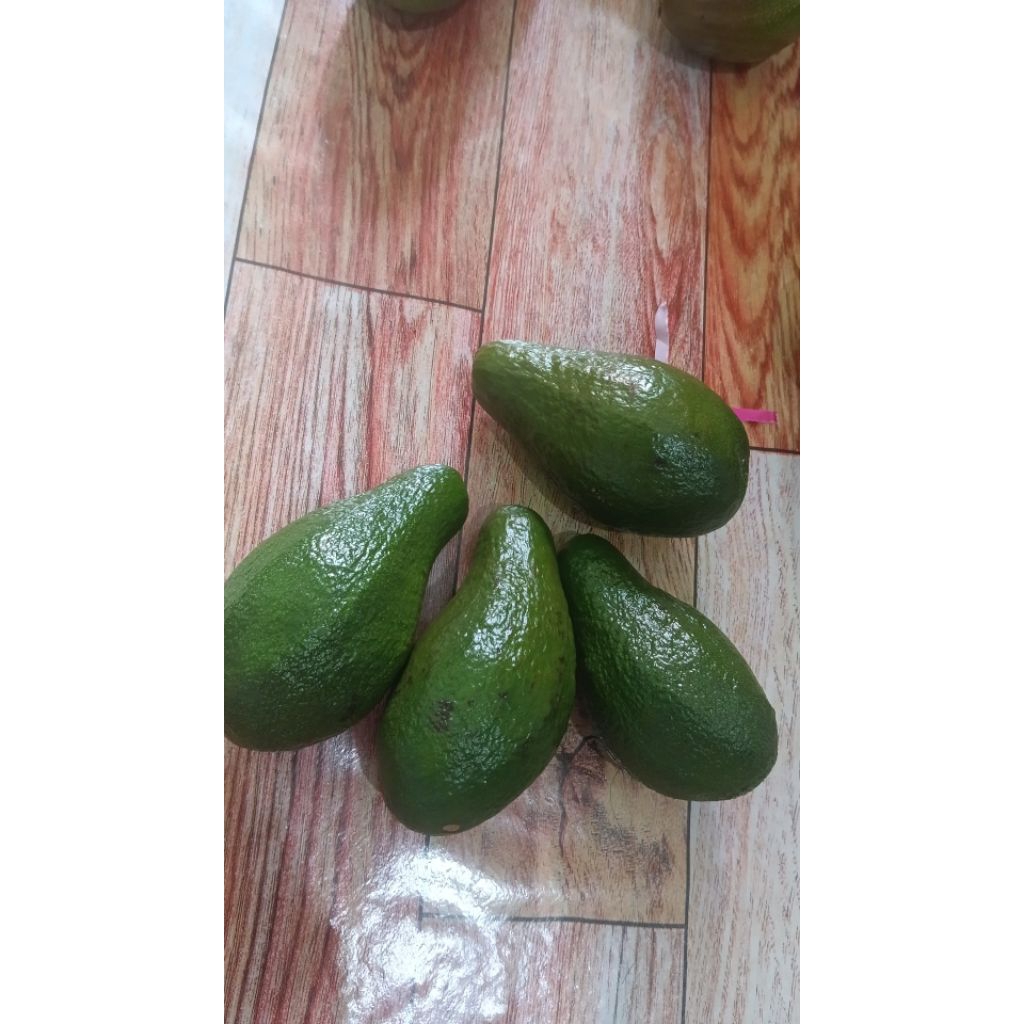 

ALPUKAT MENTEGA BLITAR