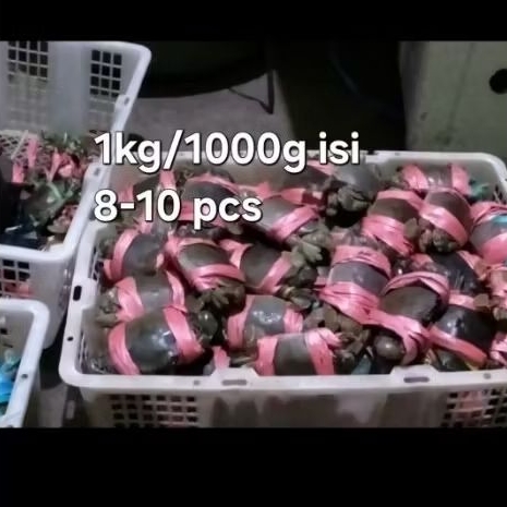 Kepiting Bakau Segar 1Kg Isi 8-10 Ekor Daging Gurih Fresh dari Tambak