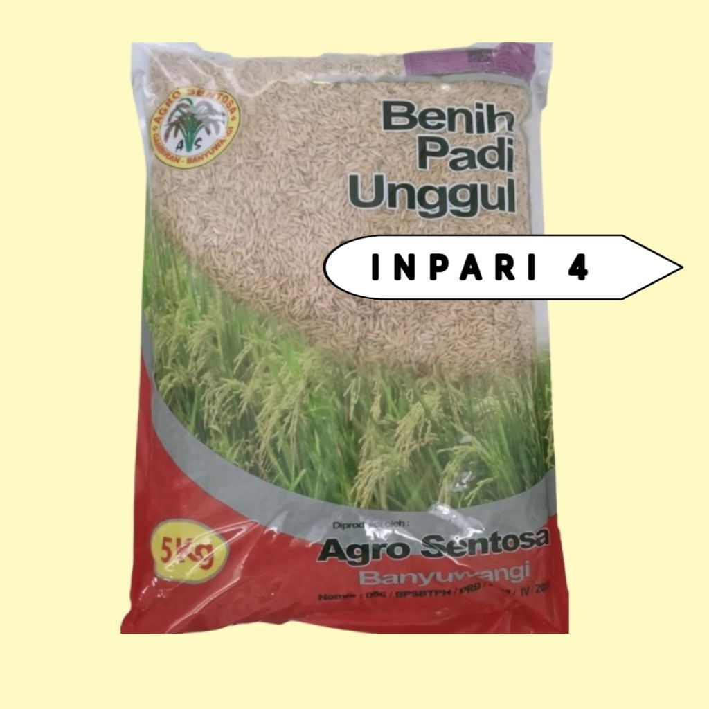 Benih padi inpari 4 kemasan 5kg