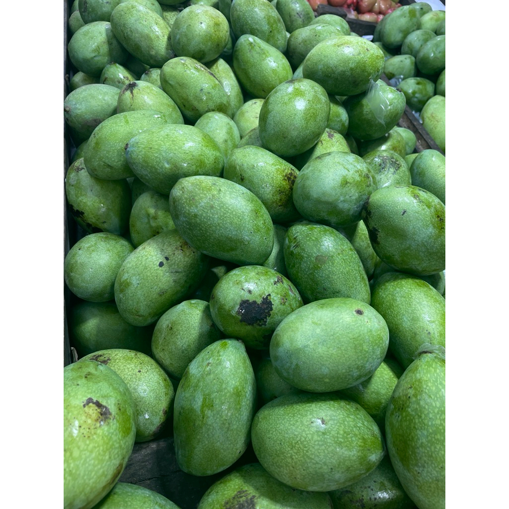 

Mangga Daging (besar/kecil) fresh segar
