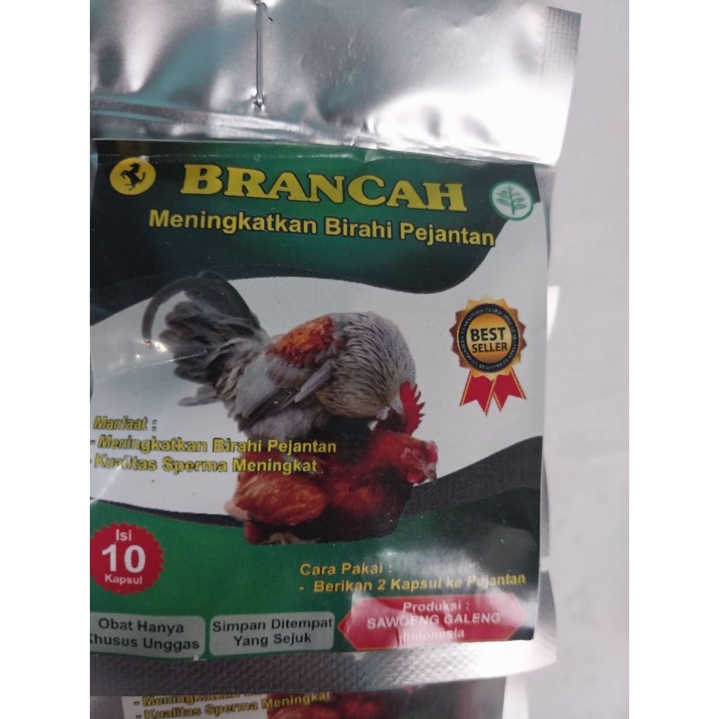 BRANCAH - Meningkatkan Birahi Ayam Pejantan