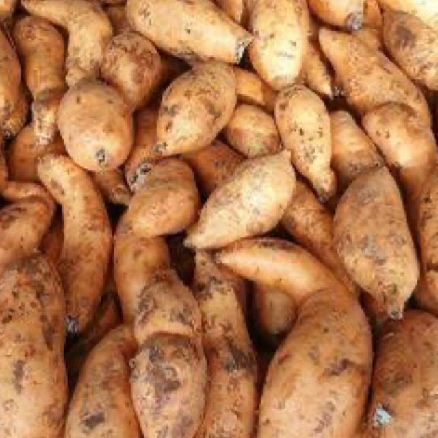 

KIRIM INSTAN UBI CILEMBU / UBI CILEMBU EXPRESS / UBI CILEMBU MURAH / UBI CILEMBU FRESH / UBI CILEMBU SIAP ANTAR / UBI CILEMBU MURAH / TUKANG SAYUR ONLINE