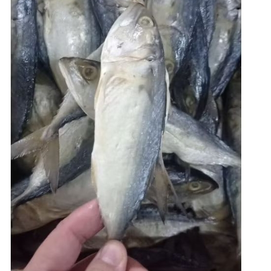 

Ikan Asin Pedo Putih 1KG - Selera Raso