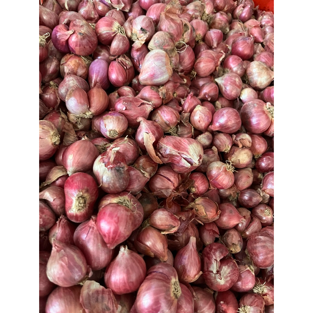 

BAWANG MERAH BESAR SUPER 1 kg