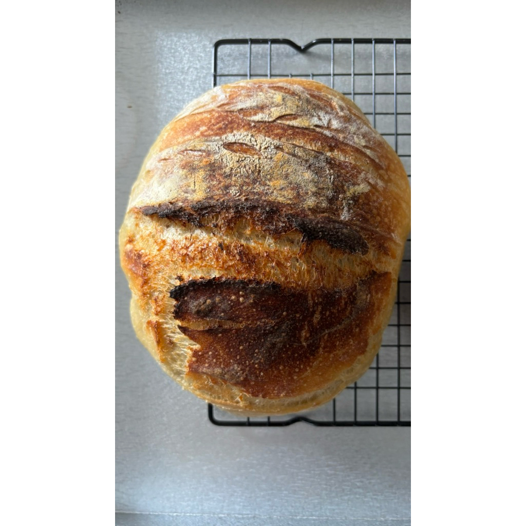 

AUREA LOAF - Classic Artisan Sourdough
