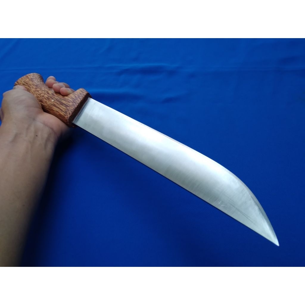 Slaugther knife D2 Steel 25cm