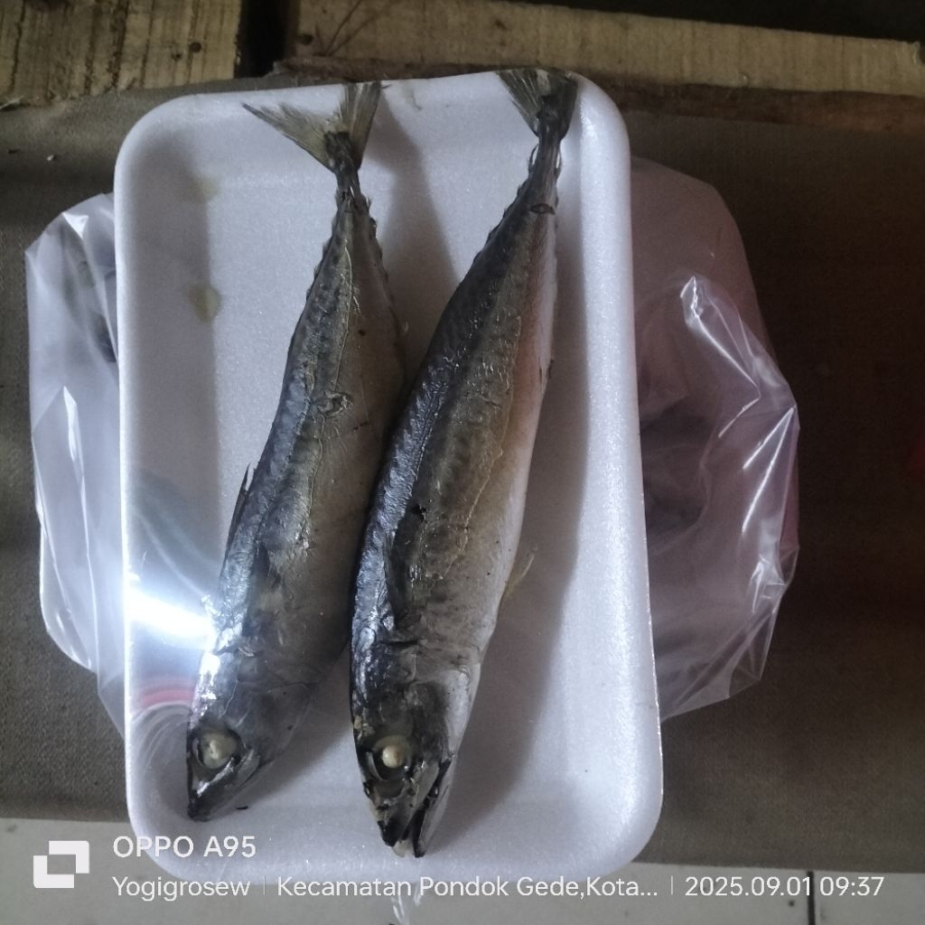 

Ikan Salem Rebus 2pcs