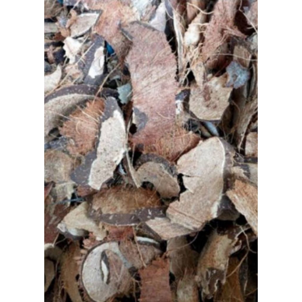 cacah tempurung/batok kelapa kering 500g buat bikin areng