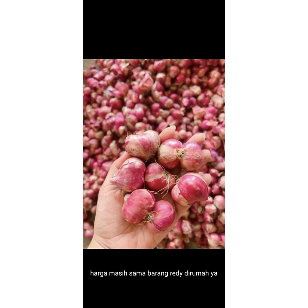 

bawang merah nganjuk