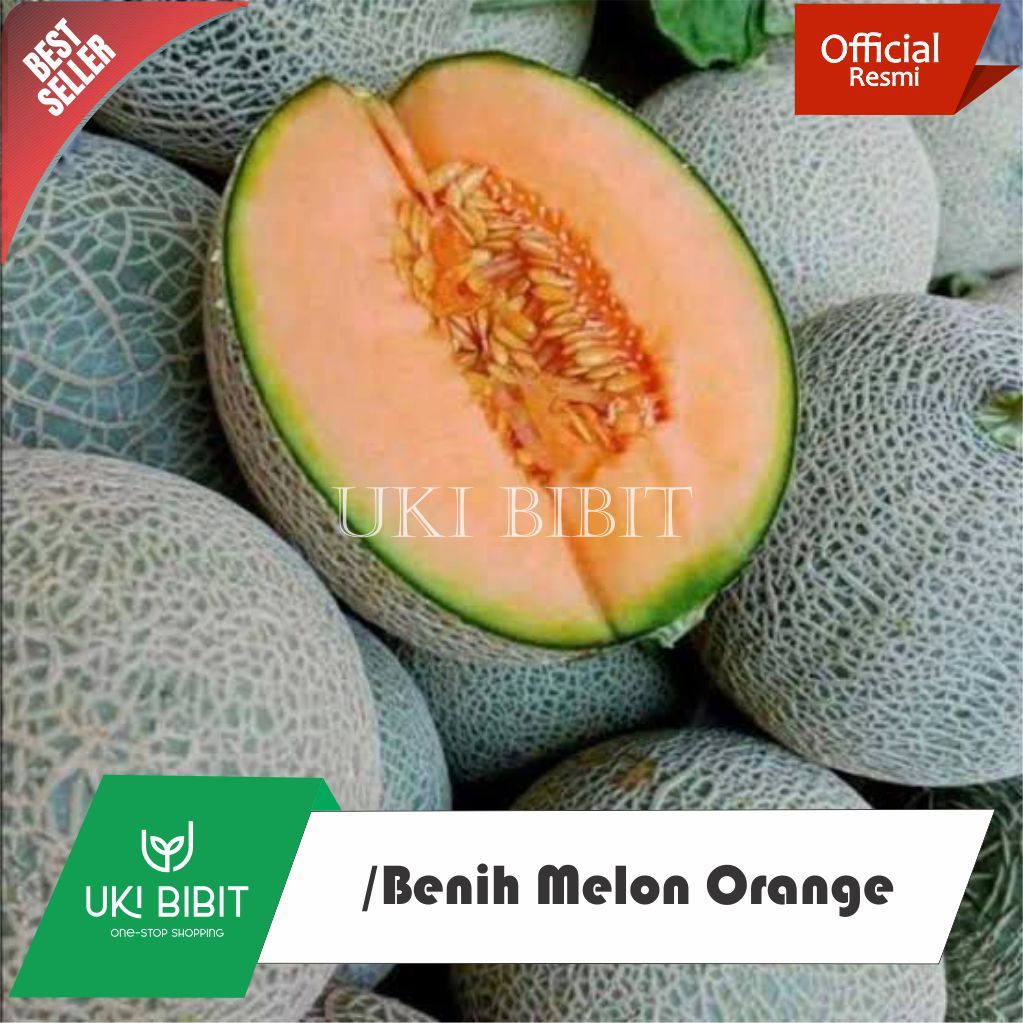 ( 3 Butir ) Benih Biji Melon Orange | Rock Melon Cantaloupe | Melon Fujisawa
