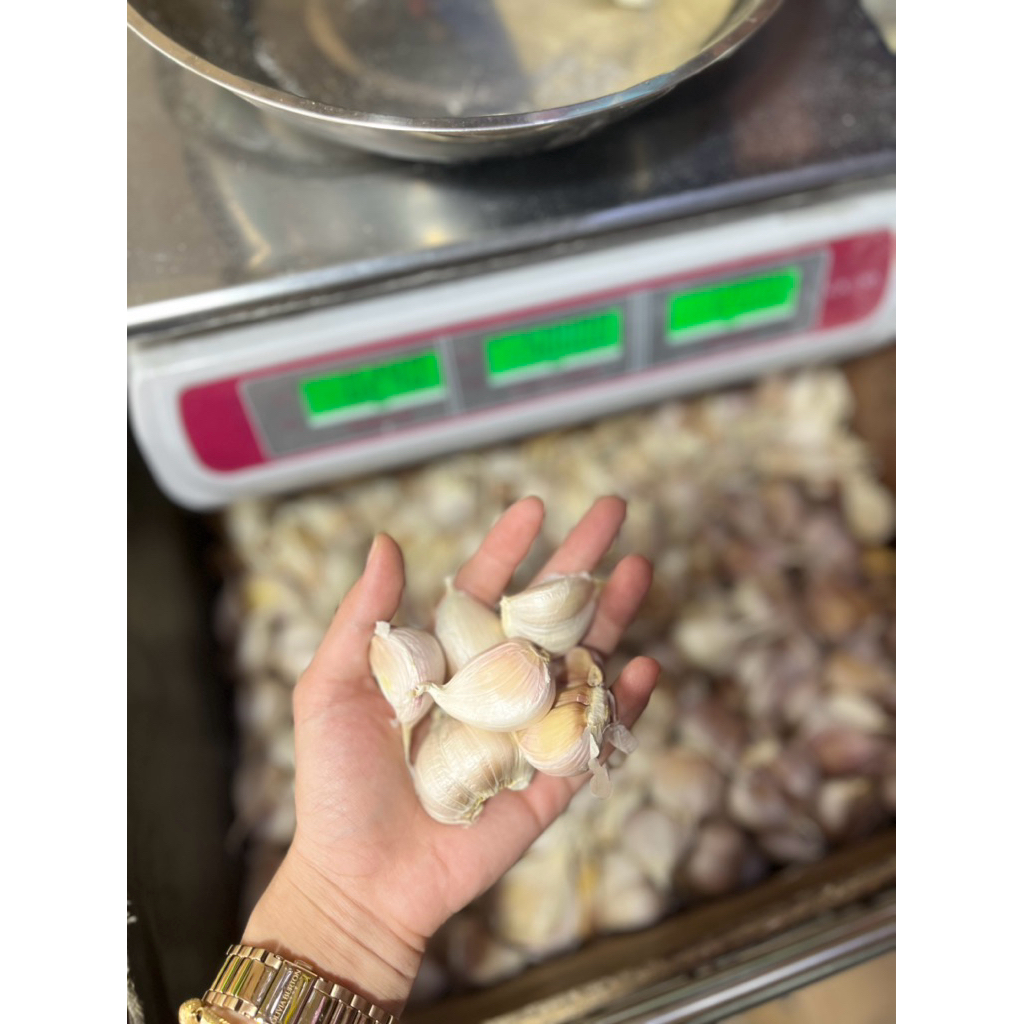 

Bawang putih kating bersih