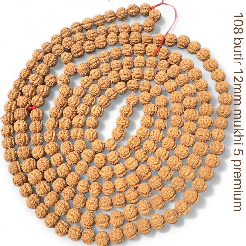 Kalung jenitri asli meditasi 108 butir