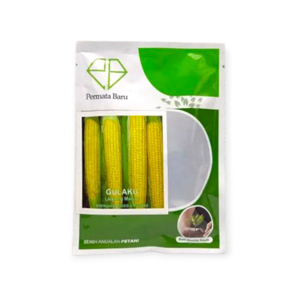 Benih Jagung Manis Gulaku Isi 350 Biji Bibit Jagung Benih Jagung Bibit Jagung Manis